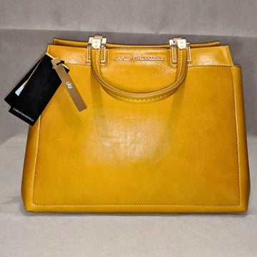 Carlo Salvatelli The Swami